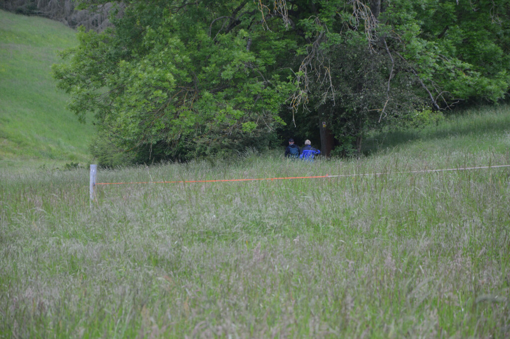 DSC_0154