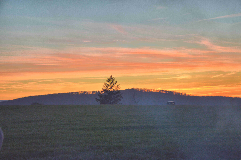DSC_0222