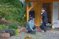Hin und her gepflanzt