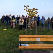 Wickersdorf hat eine neue Aussichtsbank