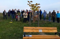 Wickersdorf hat eine neue Aussichtsbank