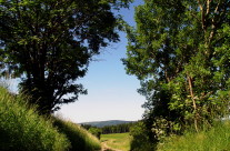 Landschaftsbilder