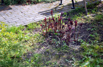 Ecken und Winkel